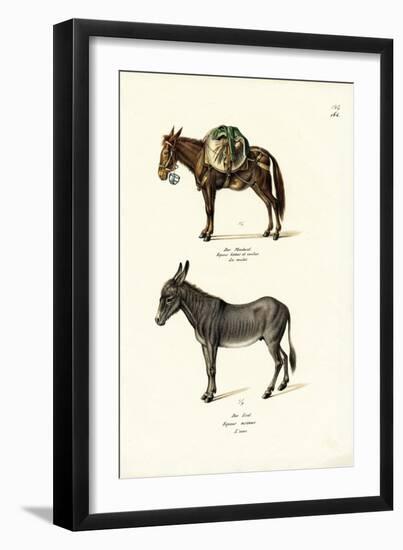 Donkey, 1824-Karl Joseph Brodtmann-Framed Premium Giclee Print