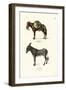 Donkey, 1824-Karl Joseph Brodtmann-Framed Giclee Print