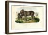 Donkey, 1863-79-Raimundo Petraroja-Framed Giclee Print