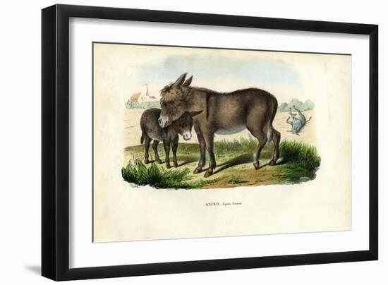 Donkey, 1863-79-Raimundo Petraroja-Framed Giclee Print