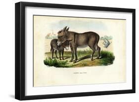 Donkey, 1863-79-Raimundo Petraroja-Framed Giclee Print