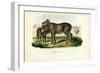 Donkey, 1863-79-Raimundo Petraroja-Framed Giclee Print