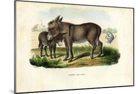 Donkey, 1863-79-Raimundo Petraroja-Mounted Giclee Print