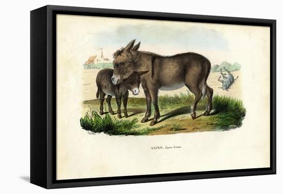 Donkey, 1863-79-Raimundo Petraroja-Framed Stretched Canvas