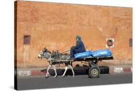 Donkey And Cart Transportation-Johnny Greig-Stretched Canvas
