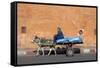 Donkey And Cart Transportation-Johnny Greig-Framed Stretched Canvas