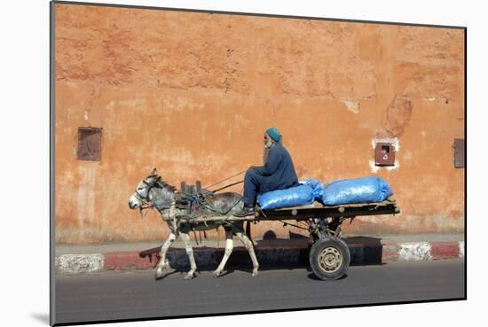 Donkey And Cart Transportation-Johnny Greig-Mounted Photographic Print