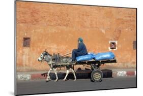 Donkey And Cart Transportation-Johnny Greig-Mounted Photographic Print