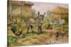 Donkey and Farmyard Fowl-Carl Donner-Stretched Canvas