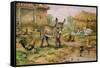 Donkey and Farmyard Fowl-Carl Donner-Framed Stretched Canvas