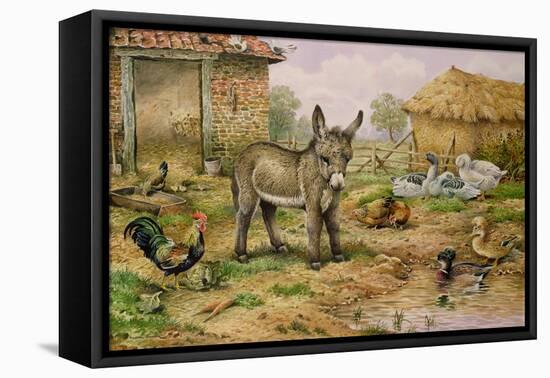 Donkey and Farmyard Fowl-Carl Donner-Framed Stretched Canvas