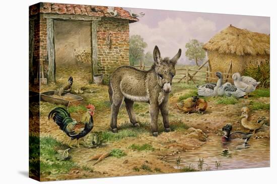 Donkey and Farmyard Fowl-Carl Donner-Stretched Canvas