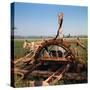 Donkey at an Antiquated Irrigation Wheel-Philip Gendreau-Stretched Canvas