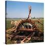 Donkey at an Antiquated Irrigation Wheel-Philip Gendreau-Stretched Canvas