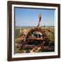 Donkey at an Antiquated Irrigation Wheel-Philip Gendreau-Framed Photographic Print