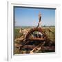 Donkey at an Antiquated Irrigation Wheel-Philip Gendreau-Framed Photographic Print