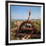 Donkey at an Antiquated Irrigation Wheel-Philip Gendreau-Framed Photographic Print