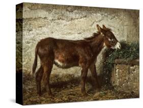 Donkey at Crib-Filippo Palizzi-Stretched Canvas