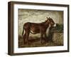 Donkey at Crib-Filippo Palizzi-Framed Giclee Print