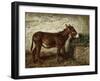 Donkey at Crib-Filippo Palizzi-Framed Giclee Print