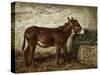 Donkey at Crib-Filippo Palizzi-Stretched Canvas