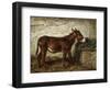 Donkey at Crib-Filippo Palizzi-Framed Giclee Print