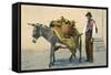 Donkey Carrying Produce-null-Framed Stretched Canvas