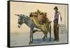 Donkey Carrying Produce-null-Framed Stretched Canvas