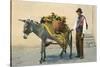 Donkey Carrying Produce-null-Stretched Canvas