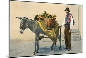 Donkey Carrying Produce-null-Mounted Art Print