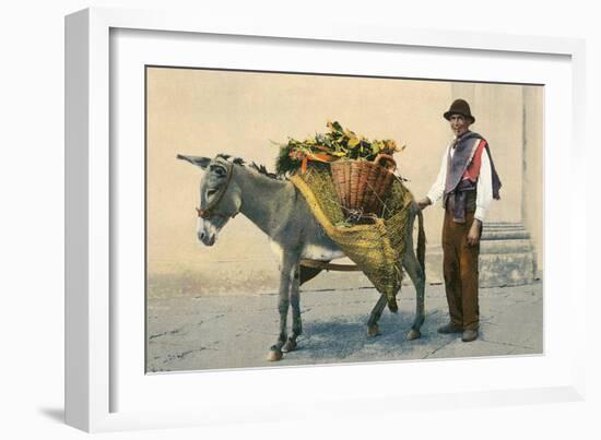 Donkey Carrying Produce-null-Framed Premium Giclee Print