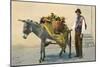 Donkey Carrying Produce-null-Mounted Premium Giclee Print