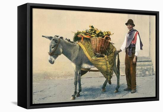 Donkey Carrying Produce-null-Framed Stretched Canvas