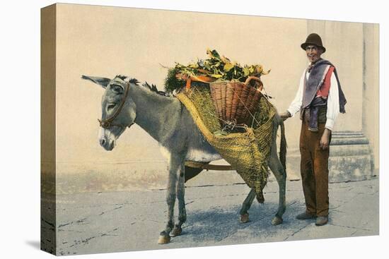 Donkey Carrying Produce-null-Stretched Canvas
