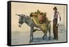 Donkey Carrying Produce-null-Framed Stretched Canvas