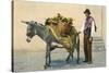 Donkey Carrying Produce-null-Stretched Canvas