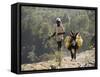 Donkey Carrying Water, Santo Antao, Cape Verde Islands, Africa-R H Productions-Framed Stretched Canvas