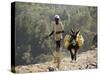 Donkey Carrying Water, Santo Antao, Cape Verde Islands, Africa-R H Productions-Stretched Canvas