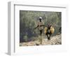 Donkey Carrying Water, Santo Antao, Cape Verde Islands, Africa-R H Productions-Framed Photographic Print