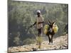 Donkey Carrying Water, Santo Antao, Cape Verde Islands, Africa-R H Productions-Mounted Photographic Print