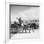 Donkey Cart, Aran Islands, Ireland, 1938 (B/W Photo)-null-Framed Giclee Print