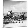 Donkey Cart, Aran Islands, Ireland, 1938 (B/W Photo)-null-Mounted Giclee Print