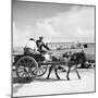 Donkey Cart, Aran Islands, Ireland, 1938 (B/W Photo)-null-Mounted Giclee Print