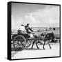 Donkey Cart, Aran Islands, Ireland, 1938 (B/W Photo)-null-Framed Stretched Canvas