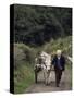 Donkey Cart, County Leitrim, Connacht, Republic of Ireland (Eire)-Adam Woolfitt-Stretched Canvas