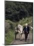 Donkey Cart, County Leitrim, Connacht, Republic of Ireland (Eire)-Adam Woolfitt-Mounted Photographic Print
