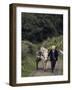 Donkey Cart, County Leitrim, Connacht, Republic of Ireland (Eire)-Adam Woolfitt-Framed Photographic Print