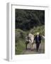 Donkey Cart, County Leitrim, Connacht, Republic of Ireland (Eire)-Adam Woolfitt-Framed Photographic Print