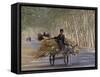 Donkey Cart, Turpan, Xinjiang Province, Silk Road, China-Keren Su-Framed Stretched Canvas