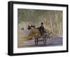 Donkey Cart, Turpan, Xinjiang Province, Silk Road, China-Keren Su-Framed Photographic Print